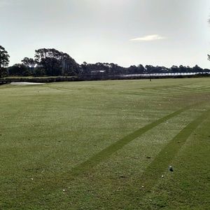 Meet your Posher, Curtis